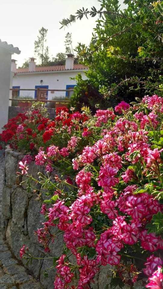 Quinta Da Idalina Villa Monchique Rum bild